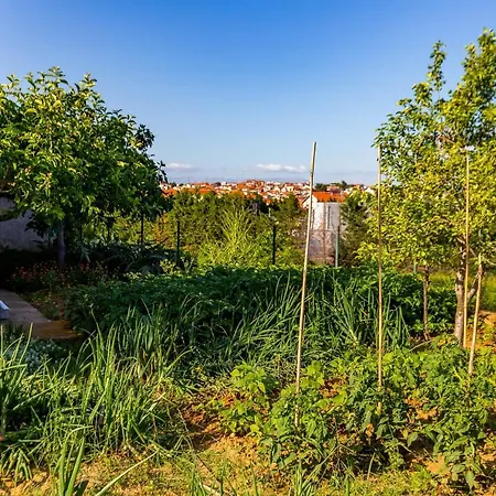 Chubi 2Br Apt Parking Terrace Bbq Vegetable Garden Zadar Exterior photo